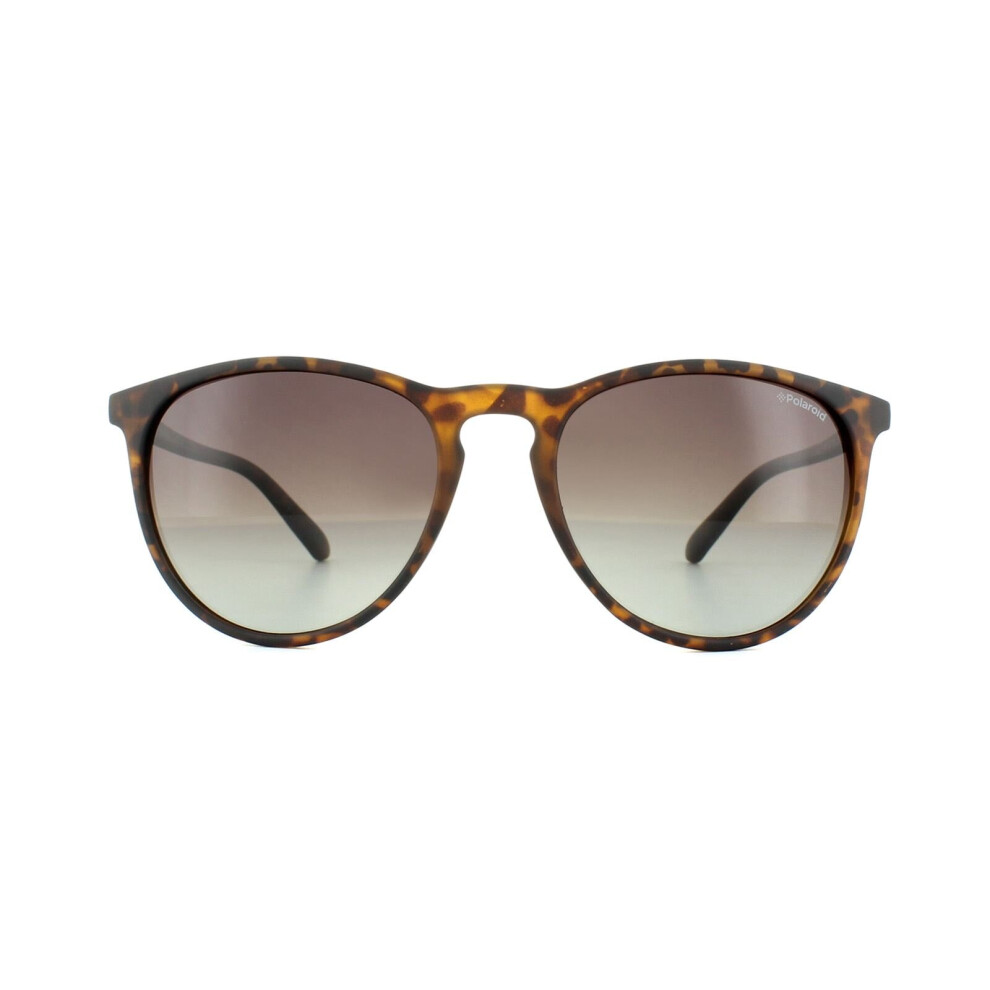 Polaroid Sunglasses PLD 6003/N/S V08 LA Havana Brown Gradient Polarized