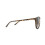 Polaroid Polaroid Sunglasses PLD 6003/N/S V08 LA Havana Brown Gradient Polarized 4