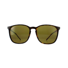 Ray-Ban Sunglasses RB4387 710/73 Tortoiseshell Brown