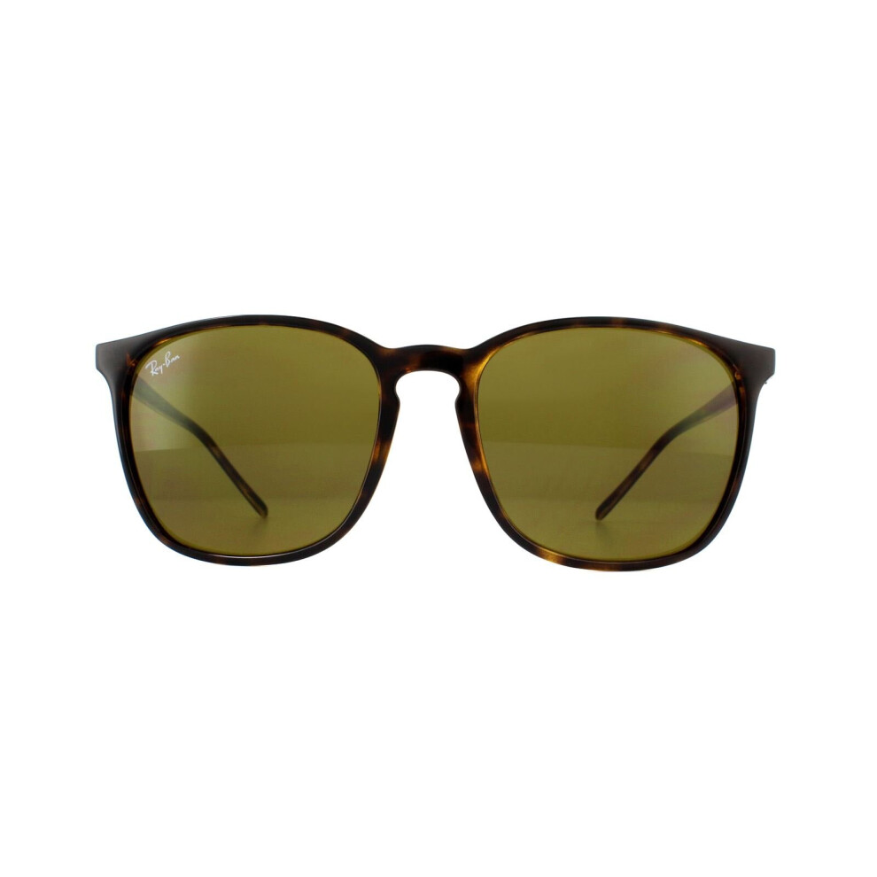 Ray-Ban Sunglasses RB4387 710/73 Tortoiseshell Brown