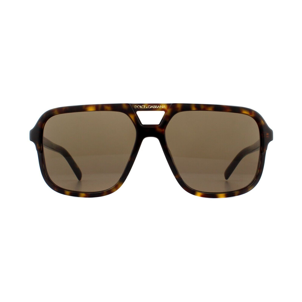 Dolce & Gabbana Sunglasses Dg4354 502/73 Havana Gradient Brown
