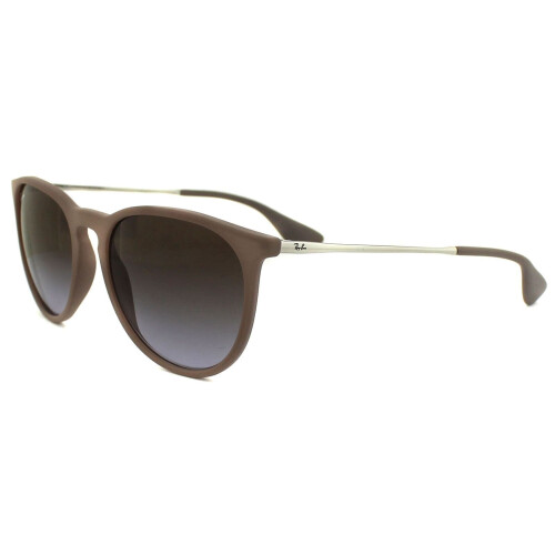 Ray-Ban Ray-Ban Erika Silver Women's Sunglasses RB4171 1