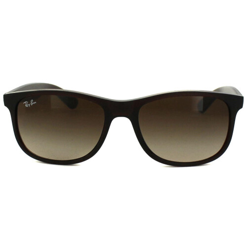 Ray-Ban Ray-Ban Sunglasses Andy 4202 607313 Matt Brown Brown Gradient