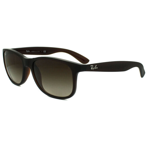Ray-Ban Ray-Ban Sunglasses Andy 4202 607313 Matt Brown Brown Gradient 1