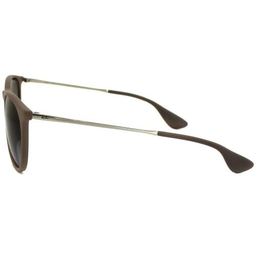 Ray-Ban Ray-Ban Erika Silver Women's Sunglasses RB4171 2