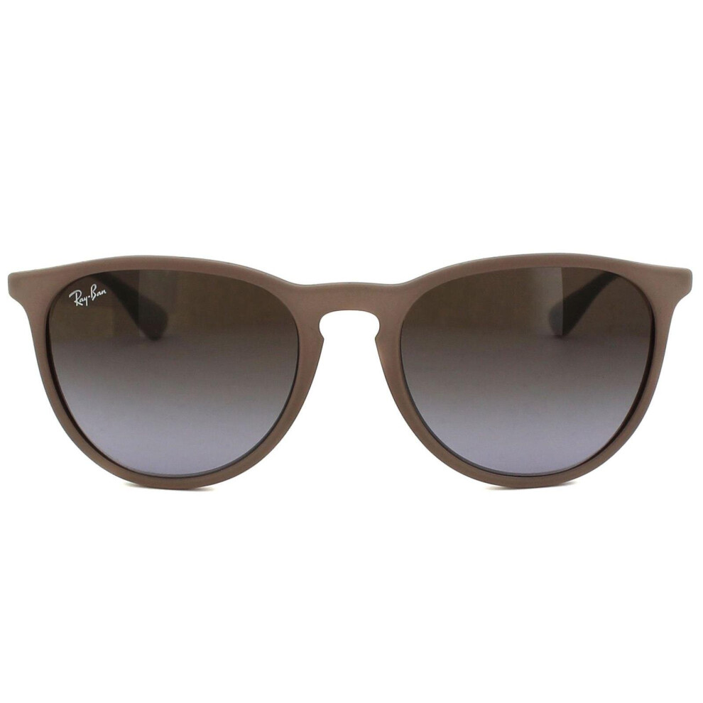 Ray-Ban Erika Silver Women's Sunglasses RB4171