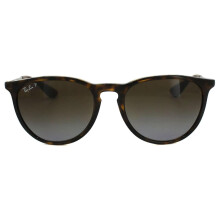 Ray-Ban Sunglasses Erika 4171 710/T5 Tortoise Gunmetal Brown Gradient Polarized