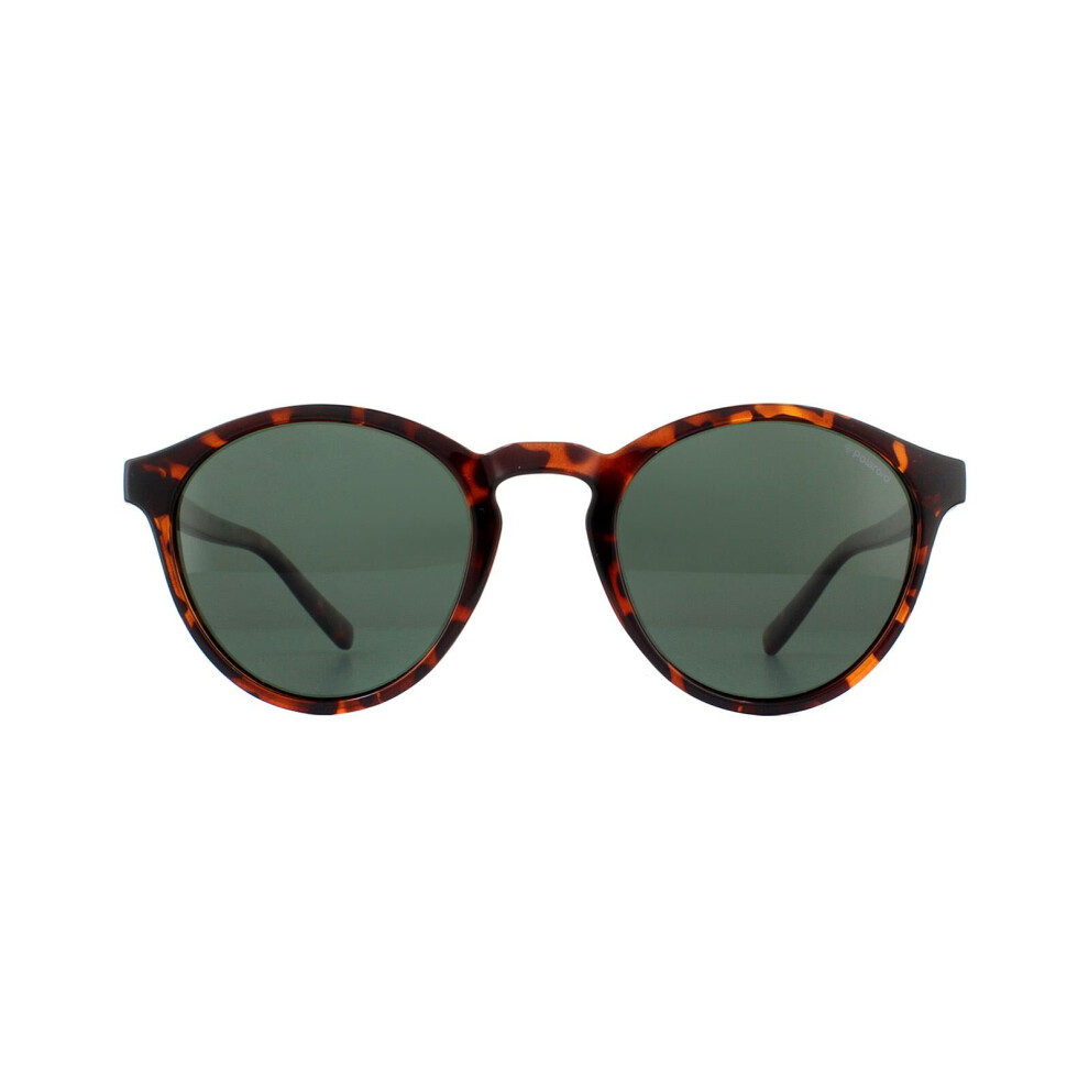 Polaroid Sunglasses Pld 1013/S V08 H8 Havana Green Polarized Brown