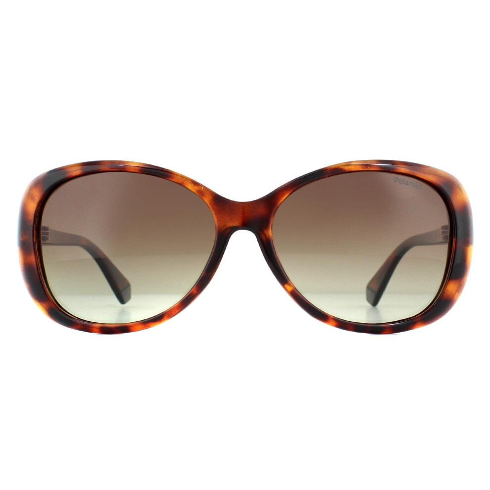 Polaroid Sunglasses Pld 4097/S 086 La Havana Gradient Polarized Brown