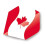 Unicorn (Canada) Unicorn Darts Maestro.100 World Flags Plus Flights Ultra Durable 2
