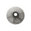 Shimano Shimano: Acera HG20 9spd Cassette - 11-34T 1