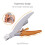 LED Light Nail Trimmer Σκύλος Cat Pet Clipper Ψαλίδι ψαλίδι Toe Claw Clippers 6
