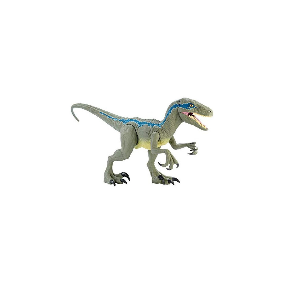 Mattel - Jurassic World Velocirraptor Blue Supercolosal, Toy Dinosaur (Mattel GCT93)