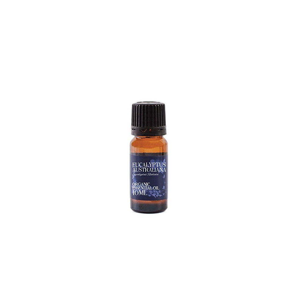 Mystic Moments | Eucalyptus Australiana (Radiata) Organic Essential Oil - 10Ml - 100% Pure