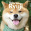 Shiba Inu Ryuji 1