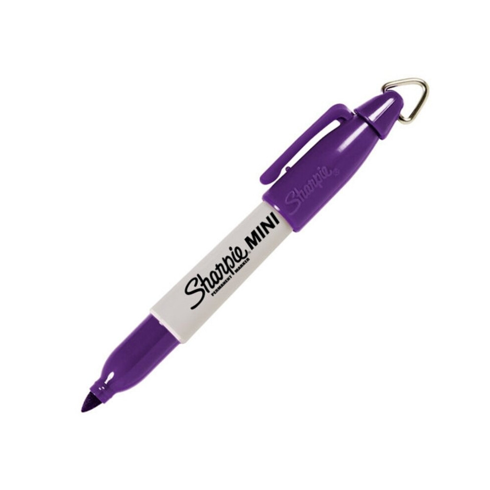 Mini Sharpie Plum