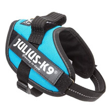 Julius-K9, 16IDC-AM-MM, IDC Powerharness, dog harness, Size: Mini-Mini, Aquamarine