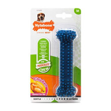 Nylabone Moderate Flexible Dental Dog Chew Toy, Nodules Help Clean Teeth, Chicken Flavour, Medium, for Dogs up to 16 kg