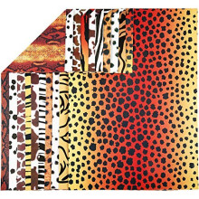 Animal Card, A4 21x30 cm, 300 cm, 10asstd sheets