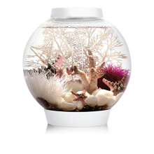 biOrb CLASSIC 15 LED, white