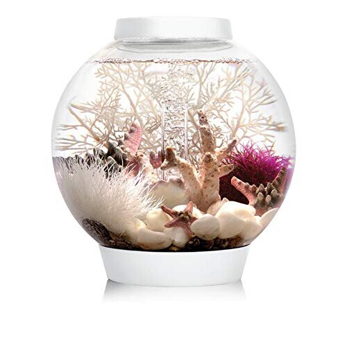 Biorb biOrb CLASSIC 15 LED, white