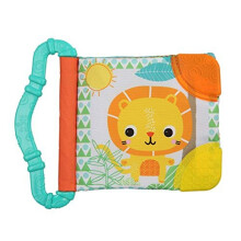 Bright Starts Teethe and Read (colours may vary)