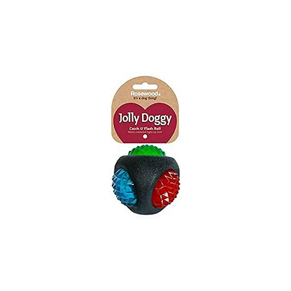 Rosewood Jolly Doggy Catch and Flash Ball for Dogs