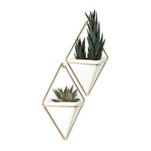 Umbra Trigg Hanging Planter Vase & Geometric Wall Decor Container - Great For Succulent Plants, Air Plant, Mini Cactus, Faux Plants and More, White Ce
