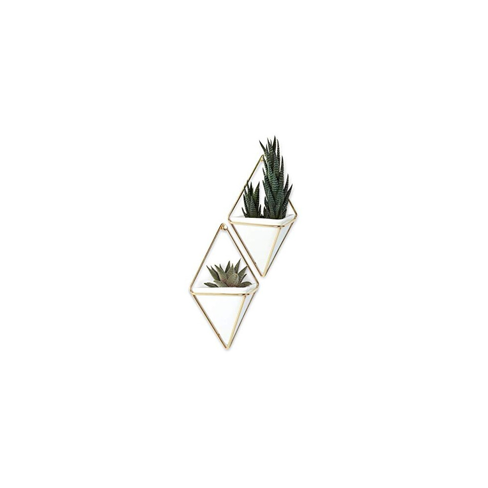 Umbra Trigg Hanging Planter Vase & Geometric Wall Decor Container - Great For Succulent Plants, Air Plant, Mini Cactus, Faux Plants and More, White Ce