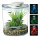 Marina 360 Aquarium with Remote Control LED Lighting, Multi-colour, 10 Litre 1