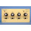 GAUGEMASTER Twin Track Panel Mounted Controller w/ Simulation GMC-UDS 1