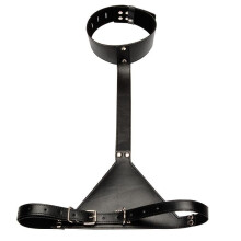BDSM Collar to Elbow Restraint
