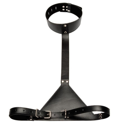 BDSM Collar to Elbow Restraint