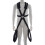 BDSM Body Swing 1