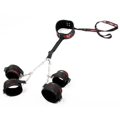 Arm Restraints and Collar