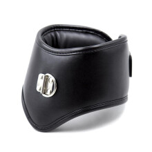 High Neck Bondage Collar and Lead
