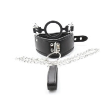 Collar, Gag and Lead