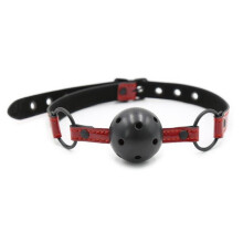 Collar and Ball Gag