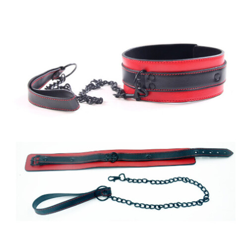 Faux Leather Collar and Lead