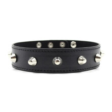 Spiked Fetish Collar