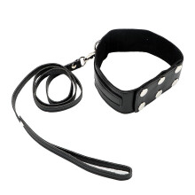 Red Collar and Lead