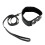 Red Collar and Lead 1