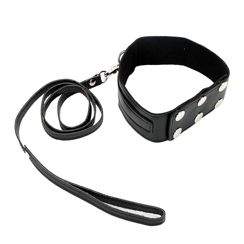 Red Collar and Lead