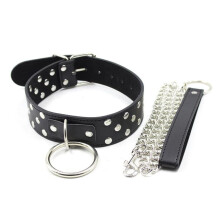 Collar and Lead Set