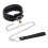 Premium Padded Collar, Lock and Lead 1