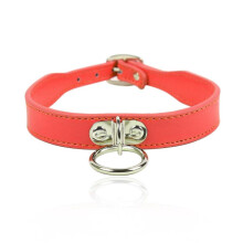 Faux Leather Collar and Lead Ring