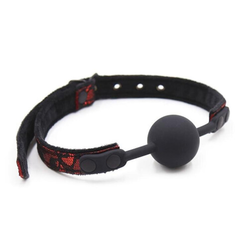 Lace Collar and Silicone Ball Gag
