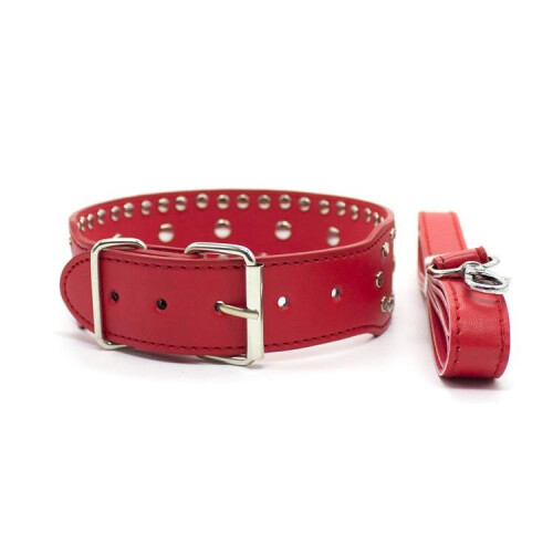 Sexy Collar and Lead - Black