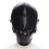 BDSM/Fetish Mask 1