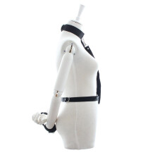 Nylon Collar and Waist Strap with Lead